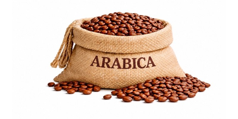 Granos de café Arábica